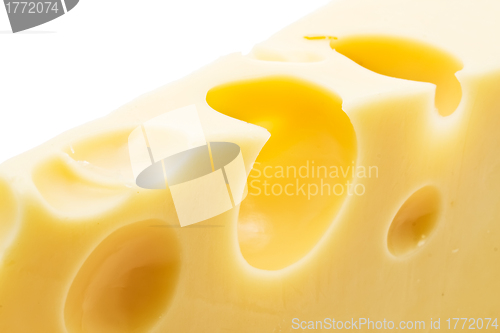 Image of Cheese