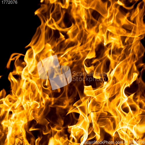 Image of Fire