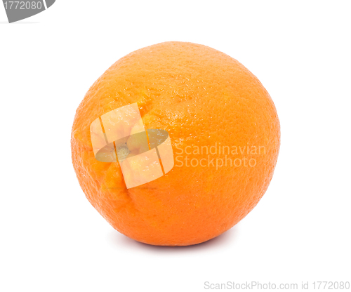 Image of Orange