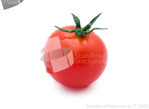 Image of Tomato