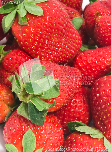 Image of Strawberry