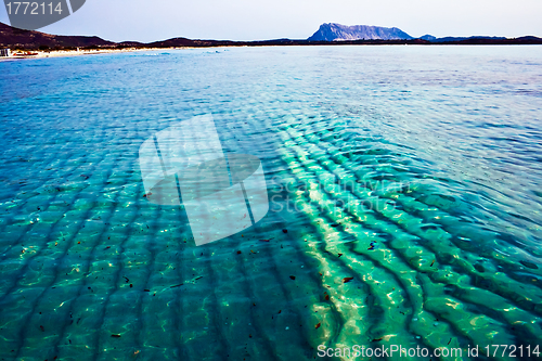 Image of Spiaggia Cinta, Sardegna