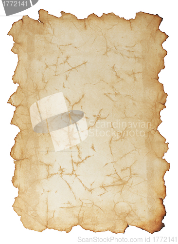 Image of Paper