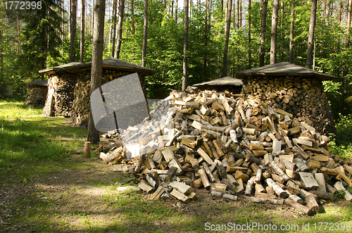 Image of Pile of chopped stack firewood wood forest trees 