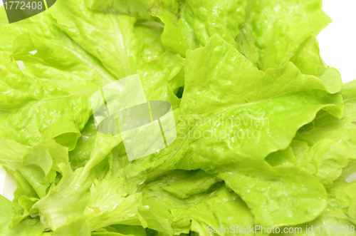 Image of salad