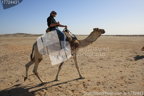 Image of with the camel in the desert