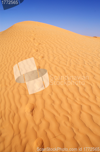 Image of Desert