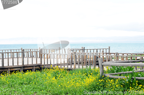 Image of Wooden fence in the grassland