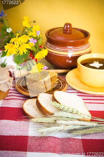 Image of Still life with honeycombs, flowers and pot 