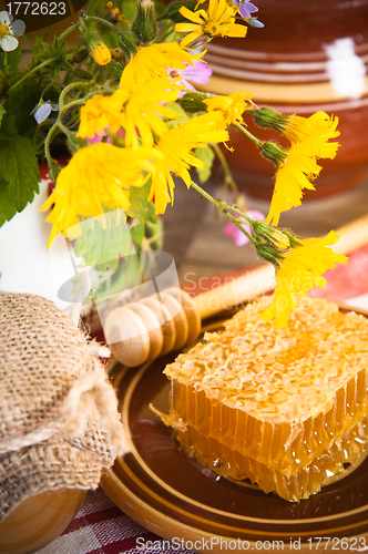 Image of Still life with honeycombs, flowers and pot 