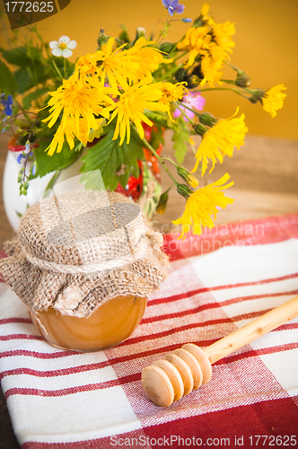 Image of Still life with honeycombs, flowers and pot 