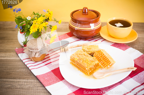 Image of Still life with honeycombs, flowers and pot 