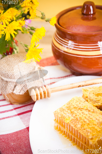 Image of Still life with honeycombs, flowers and pot 