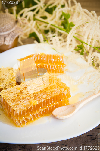 Image of honeycomb with daisies on white plate 