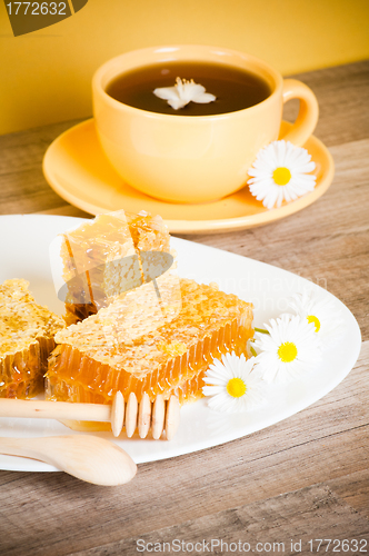 Image of Still life with honeycombs, flowers and pot 