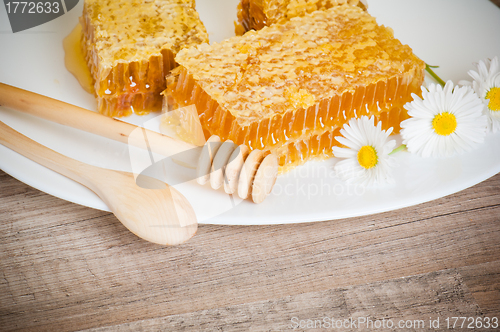 Image of honeycomb with daisies on white plate 