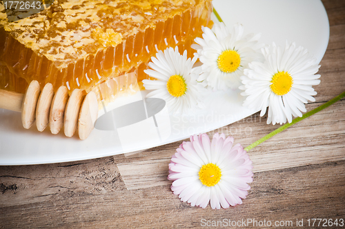 Image of honeycomb with daisies on white plate 