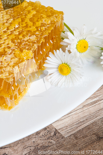 Image of honeycomb with daisies on white plate 