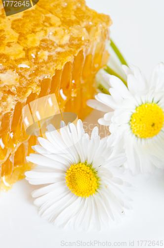 Image of honeycomb with daisies on white plate 