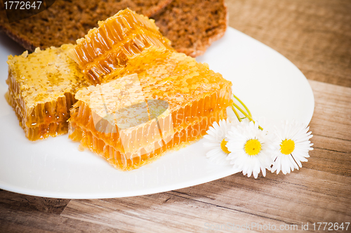 Image of honeycomb with daisies on white plate 
