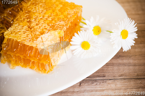 Image of honeycomb with daisies on white plate 
