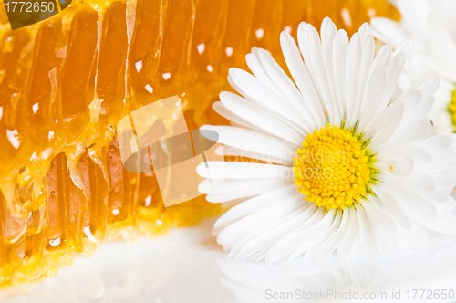 Image of honeycomb with daisies on white plate 