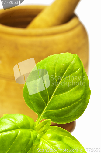 Image of basil with mortar