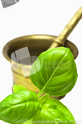 Image of basil with mortar