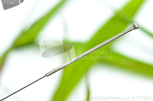 Image of acupuncture needle