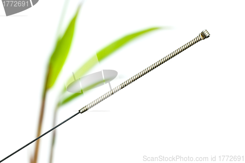 Image of acupuncture needle
