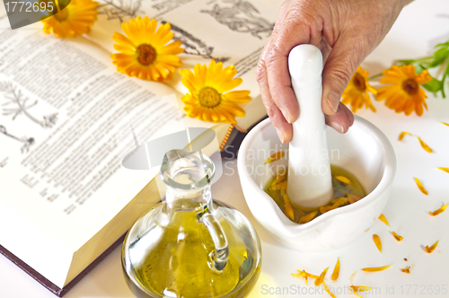 Image of preparing of calendula oil