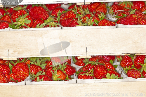 Image of strawberry