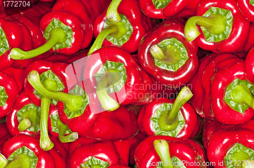 Image of pepper