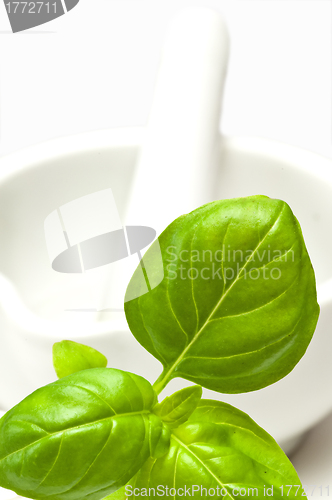 Image of basil with mortar