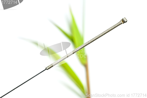 Image of acupuncture needle