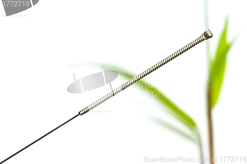 Image of acupuncture needle