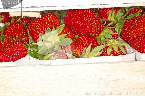 Image of strawberry