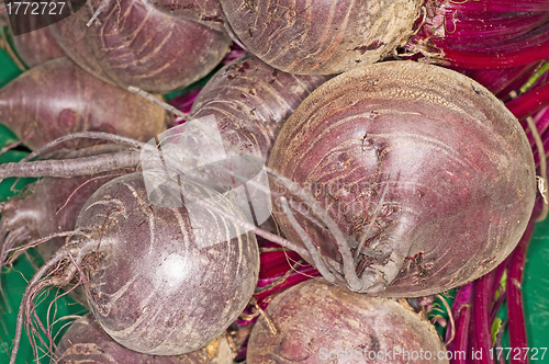 Image of beetroot