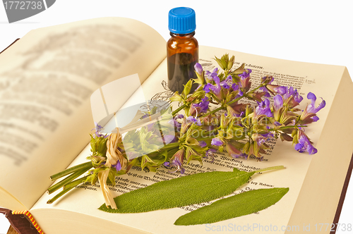 Image of sage with herbal tincture and medieval book