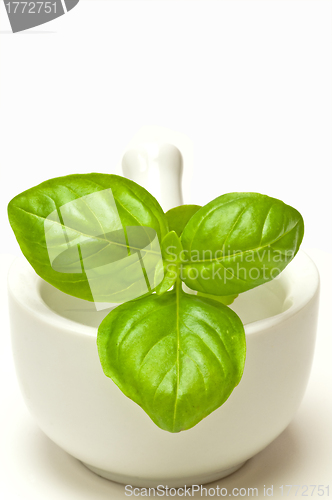 Image of basil with mortar