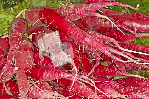 Image of red radish