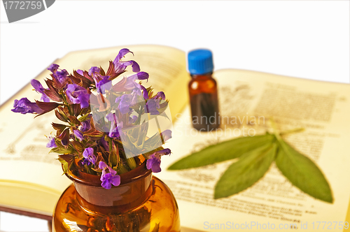 Image of sage with herbal tincture and medieval book