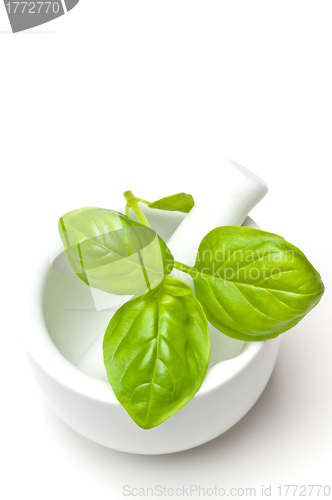 Image of basil with mortar