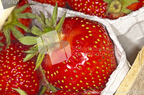 Image of strawberry