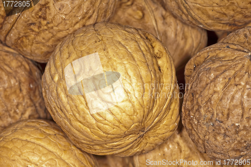 Image of walnut