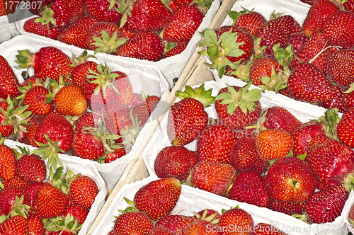 Image of strawberry