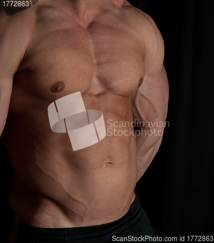 Image of bodybuilder