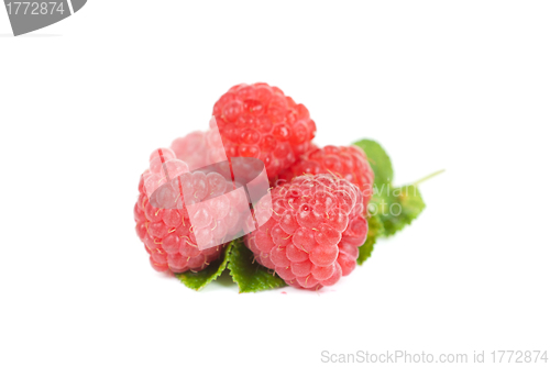 Image of fresh raspberry