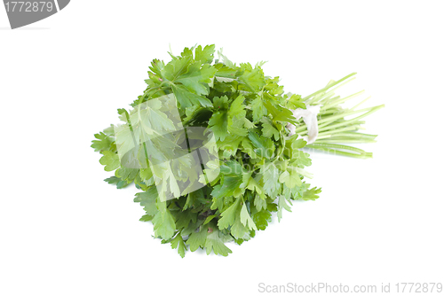 Image of bunch of parsley