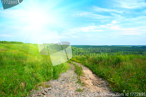 Image of Summer landscape